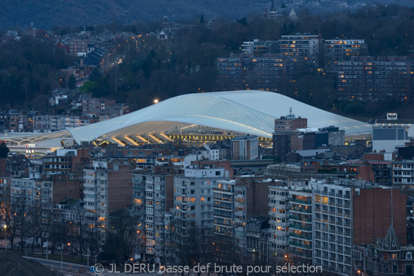 gare de Liège-Guillemins 
Liege-Guillemins railway station